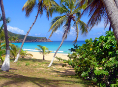 BVI,Lambert Resort