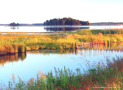 Delaware,Blackwater NWR