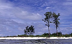 Seychelles,Birdisland